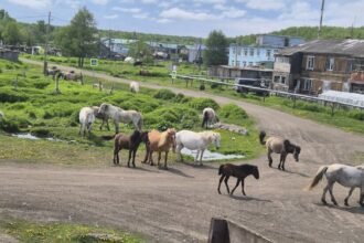 00int-russia-village-01-kjpf-facebookJumbo