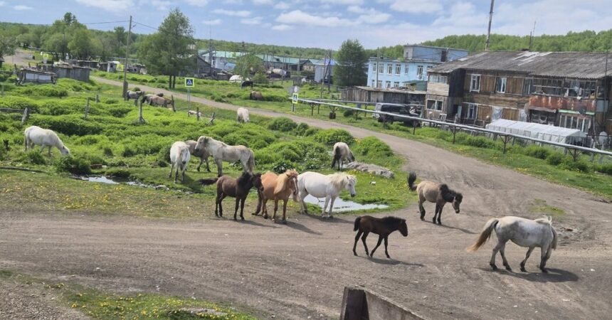 00int-russia-village-01-kjpf-facebookJumbo