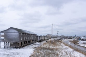 01nat-carolina-snow-05-jlhv-mediumSquareAt3X