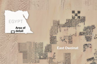 02vid-sudan-topart-mediumSquareAt3X