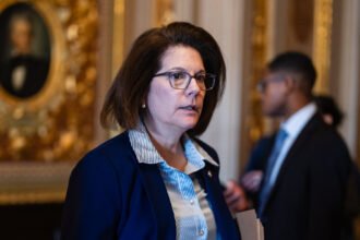 06dc-democrats01-photo-bpwq-mediumSquareAt3X