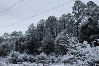 06wea-snowsplit-cbfj-mediumSquareAt3X