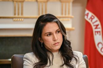 09dc-gabbard-01-mqvj-mediumSquareAt3X