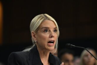 11DC-BONDI-gzwt-mediumSquareAt3X