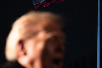 11nat-gallup-mbwq-mediumSquareAt3X