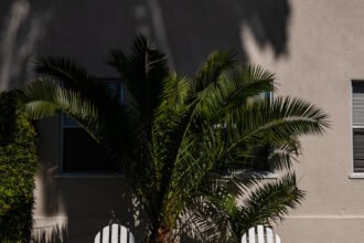 12nat-culver-city-qcfg-mediumSquareAt3X