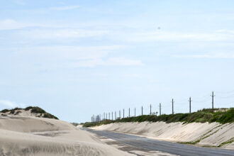 20nat-TX-ICE-shooting-1-bfqj-mediumSquareAt3X-1