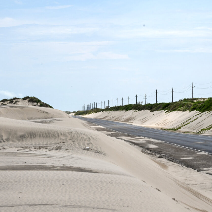 20nat-TX-ICE-shooting-1-bfqj-mediumSquareAt3X