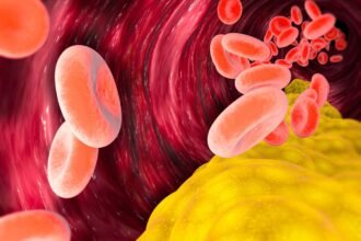 24130329-7cf64b0e-e76d-4198-8ae6-5f3307d81d30