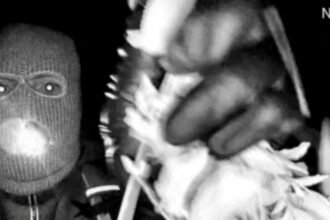 2a7c5500-0aac-11f1-b5e2-dd58fc65f0f6