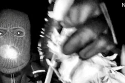 2a7c5500-0aac-11f1-b5e2-dd58fc65f0f6