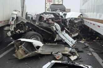 31xp-cali-facebookJumbo