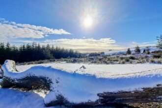 3ededfd0-08e6-11f1-9972-d3f265c101c6