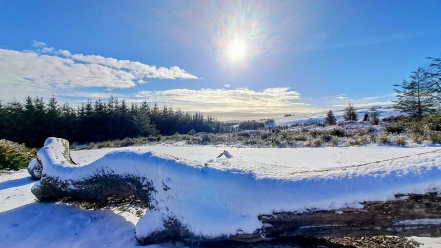 3ededfd0-08e6-11f1-9972-d3f265c101c6