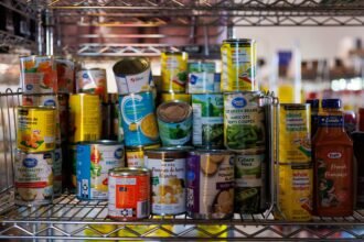 4ELR66FJIZAR5NPDQUGERBADLY