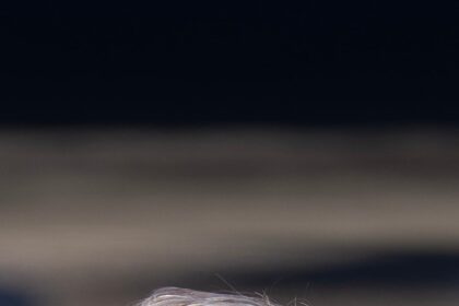 4O6AXXQBTBBJZJHNAIJ6YJYGFM-2