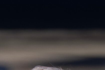 4O6AXXQBTBBJZJHNAIJ6YJYGFM