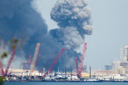 4d759f00-1496-11f1-94cd-7564c887587c