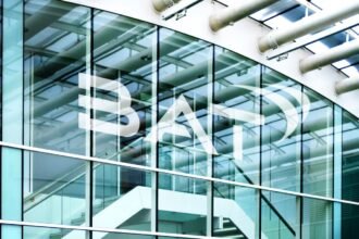 50e2efde63f66b923cab51600822ba0cY29udGVudHNlYXJjaGFwaSwxNzcwOTgwMzU4-2.82727495