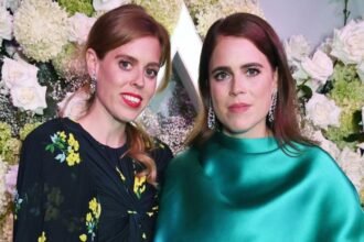 54d8fb40-0396-11f1-b5e2-dd58fc65f0f6