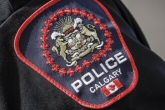 688a7fa02ed53.image_