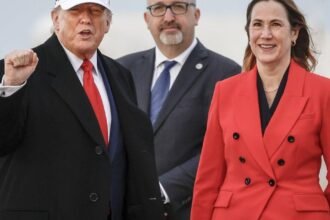 690283d765468.image_