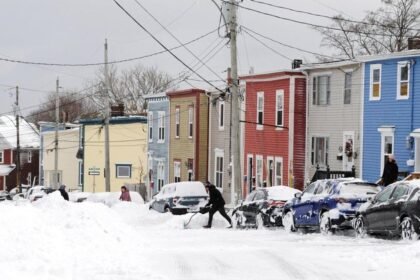 695bffad51cc6.image_