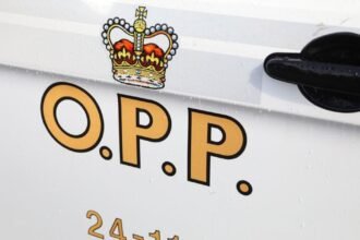 697f766dc5bad.image_