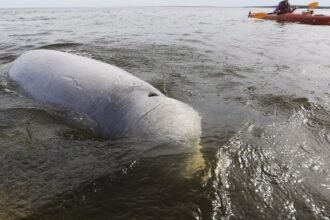 69826d8b165b2.image_