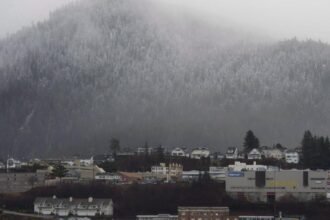 6985002f702f0.image_