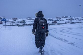 6985d8ec6b333.image_