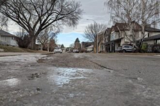 698666c77d0df.image_