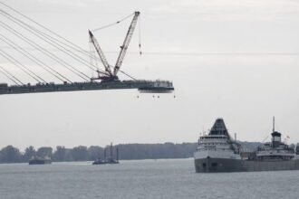 698a718128c81.image_