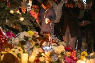 698dd039b23f9.image_