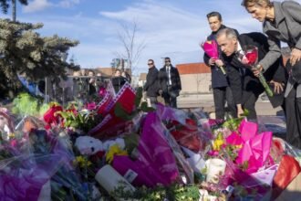 698fcaf1c49ed.image_