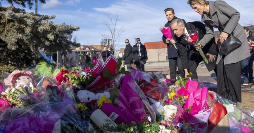 698fcaf1c49ed.image_