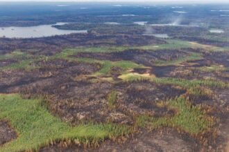 698fefbf009aa.image_