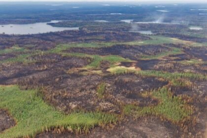 698fefbf009aa.image_