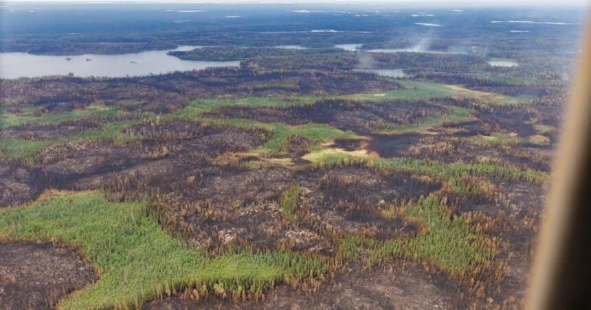 698fefbf009aa.image_