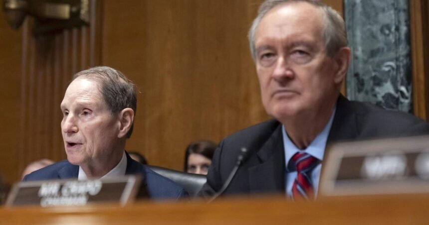 699056dfa8076.image_-1