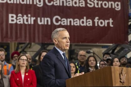 699056e066f3e.image_