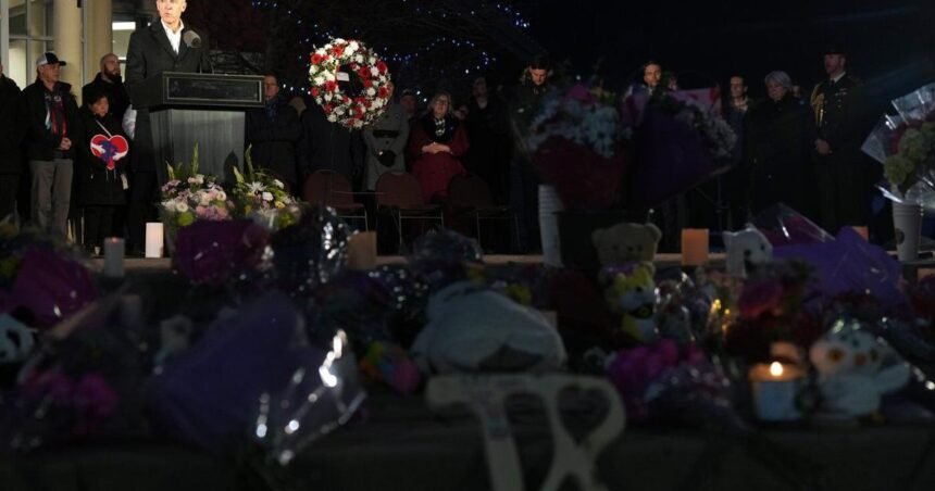 699099ad2c2d3.image_