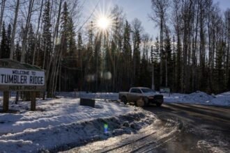 69918daab1cd2.image_