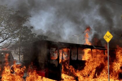 699b40a142fc8.image_-2