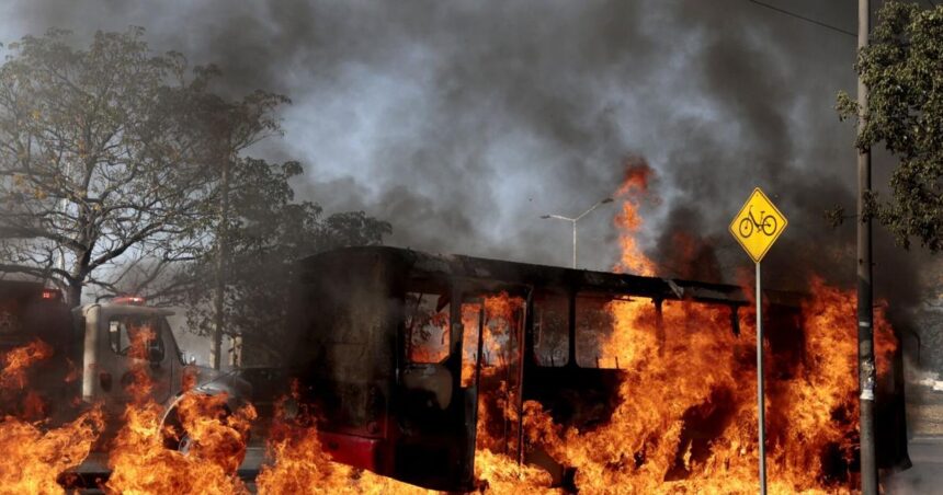 699b40a142fc8.image_-2