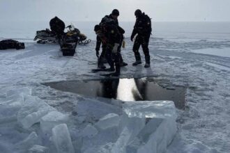 699cf11781a4b.image_