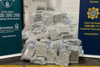 6b4dea60-fea6-11f0-8431-c5caf4139334