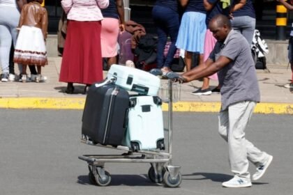 73128dc0-0b24-11f1-9972-d3f265c101c6