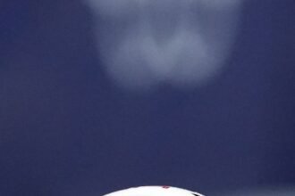 7WDUDM7LSZFK5OHVSZ7QV5LES4