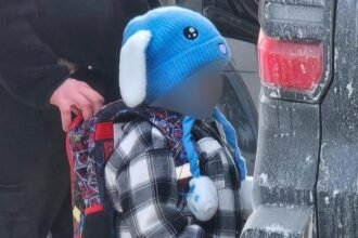 7aabfee0-feea-11f0-a8b8-bdd2c5f9bcad-1